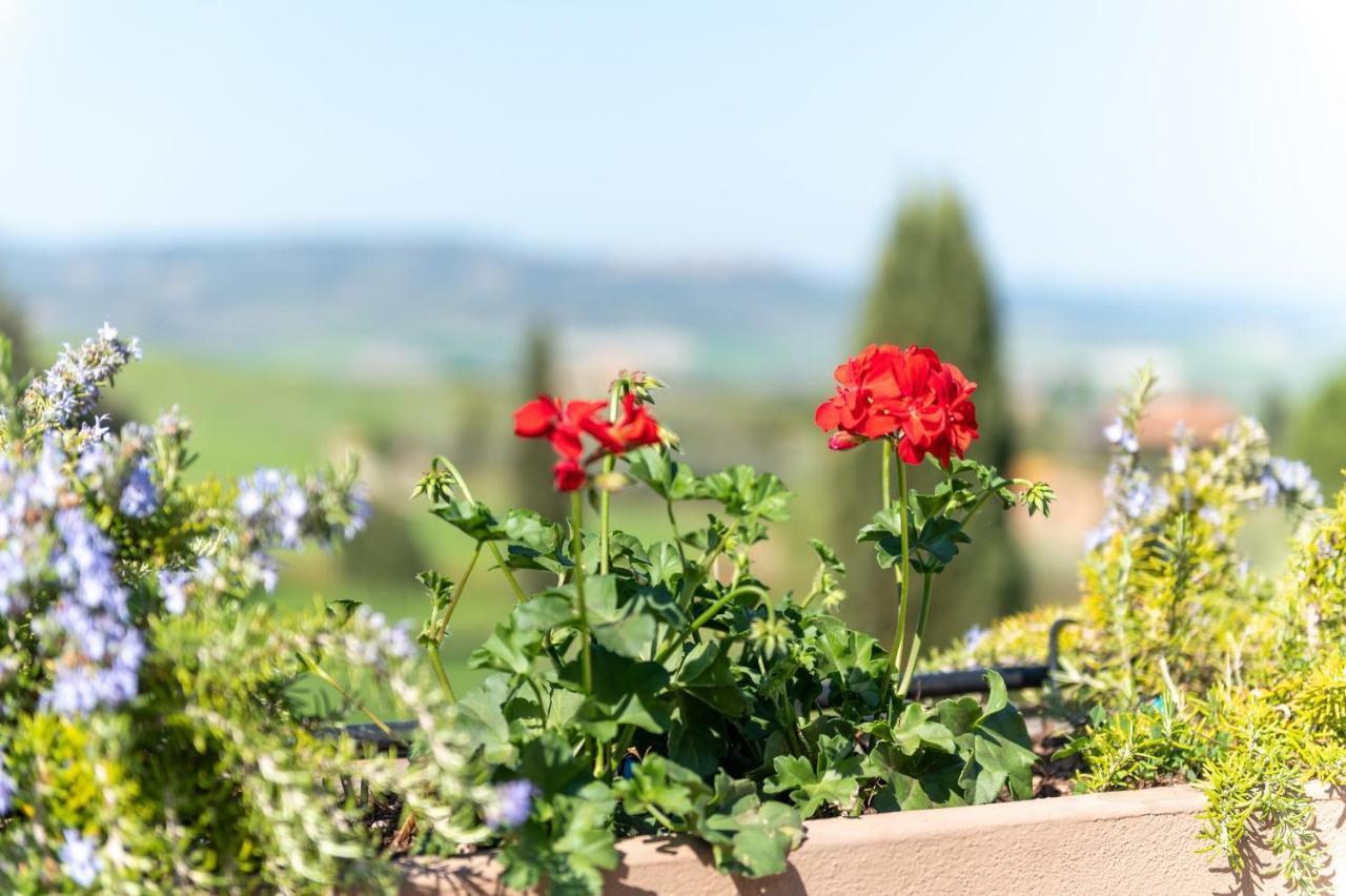 Hotel Palazzuolo San Quirico dʼOrcia Kültér fotó